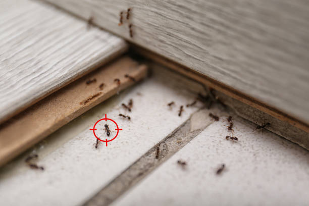 Asbury Lake, FL Pest Control Company