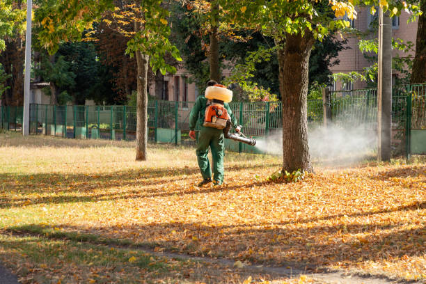 Best Pest Control Near Me in Asbury Lake, FL